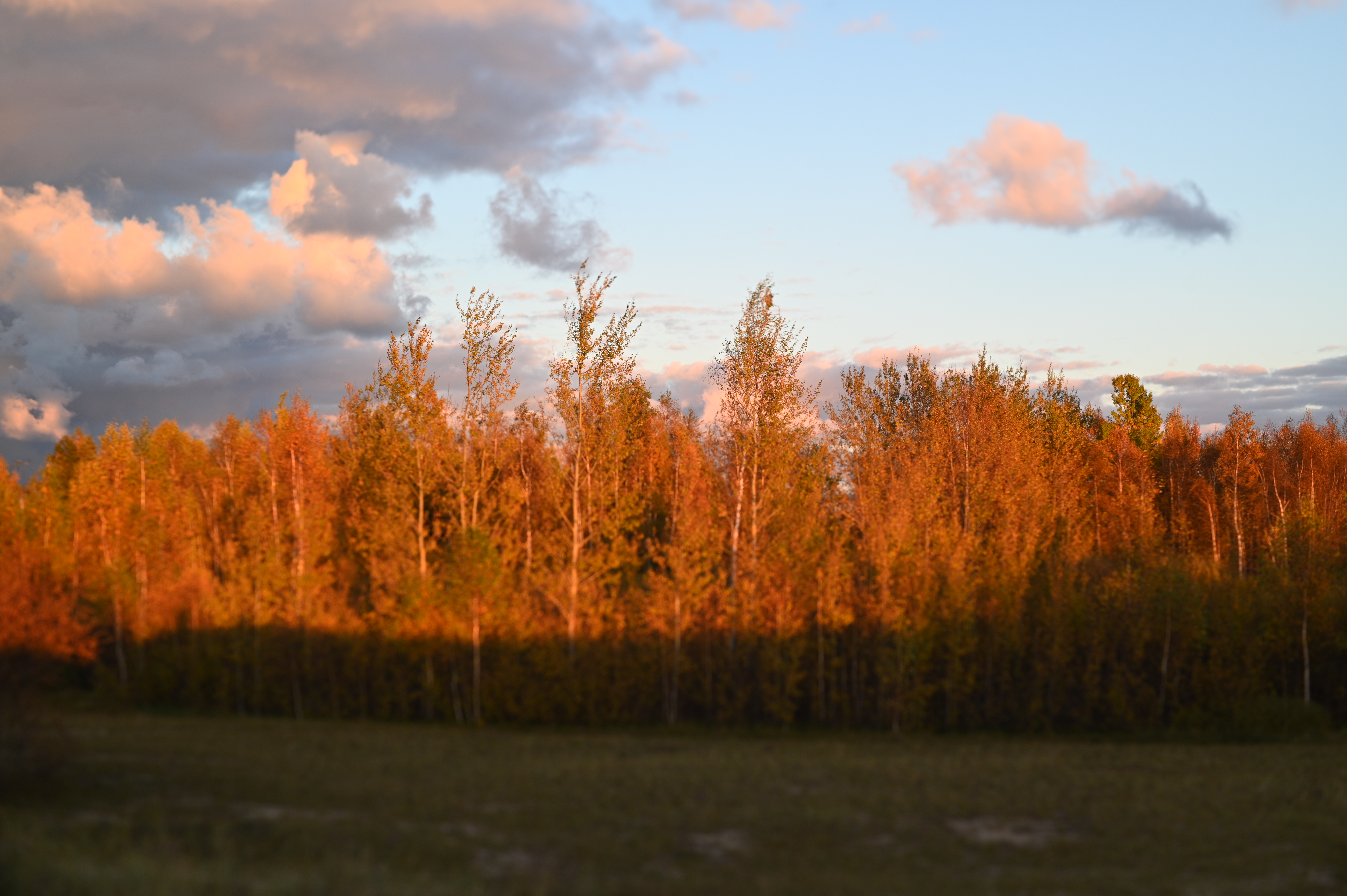 2025/10/18 - walk/DSC_0377.JPG